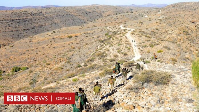 Dhegeyso: Puntland oo dishay sarkaalkii Drone-ka u qaabilsanaa Daacish