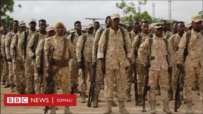 Maxaa xalay ka dhacay furimaha dagaalka ee shabeelada dhexe?
