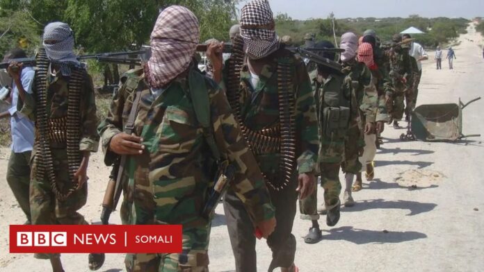 Waa kuma Yuusuf Dhegnaas, hoggaamiyaha ka tirsanaa al-Shababab ee la sheegay in la dilay?