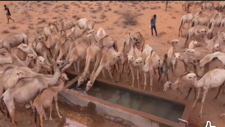 Somaliland oo dib u furtay dhul daaq-simeedka Banka Aroori
