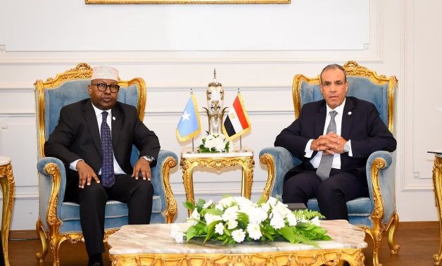 FM stresses respect for Somalia’s territorial integrity, support for its national institutions
