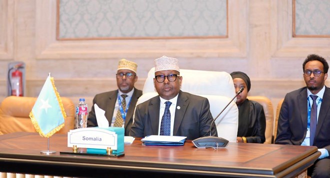 Somalia reaffirms commitment to migration cooperation at Khartoum Process Conference in Cairo