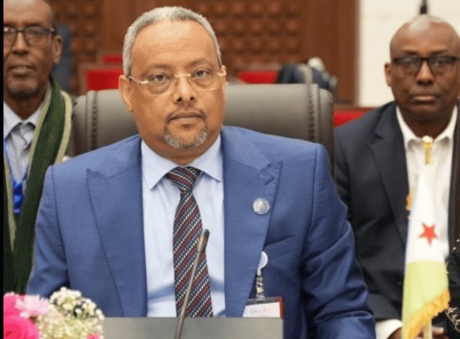 Djibouti appoints new Foreign Minister