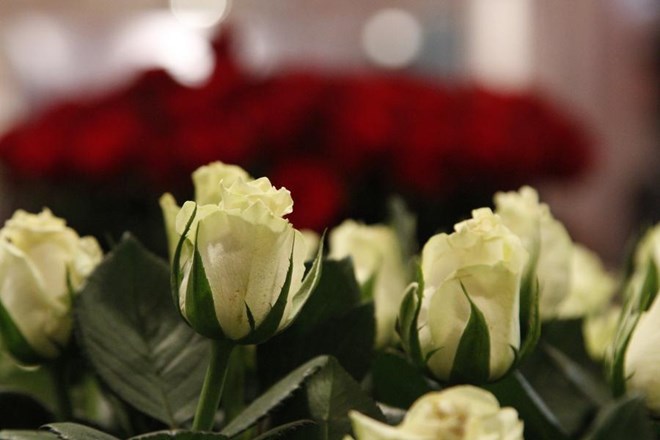 Ethiopia secures over 360 mln USD from horticultural exports in 8 months