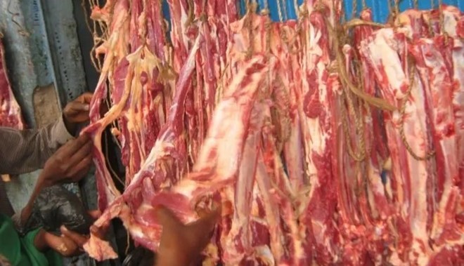 21 family members poisoned after eating sick camel in Somaliland