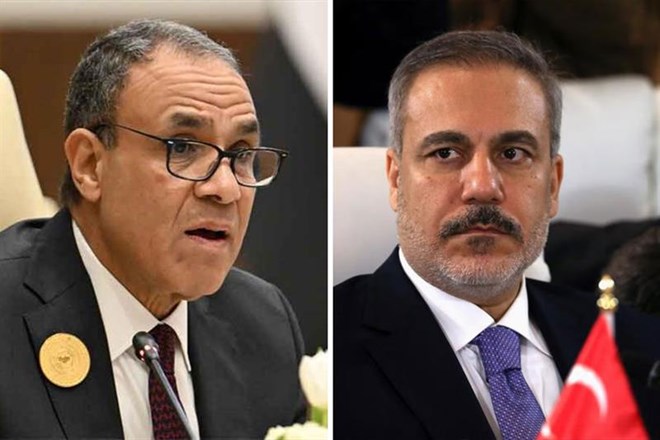 Egypt, Turkey FMs discuss efforts to restore Gaza ceasefire