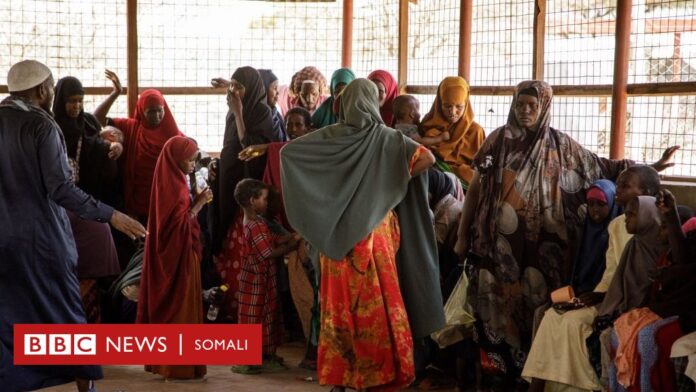 Maxaa ka cusub qorshaha isdhexgalka qaxootiga Soomaalida iyo bulshada Kenya