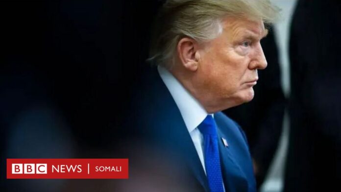 Muxuu Trump ugu daray Soomaaliya qorshaha lagula dagaalamayo Xuutiyiinta Yemen?