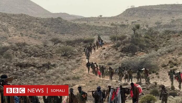 Puntland oo sheegtay in guushii ugu waynayd ay ka gaartay dagaalka Daacish 