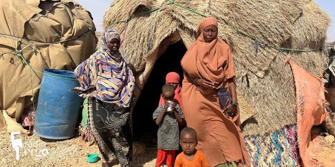 Marginalised families in Puntland displacement camps face hunger, discrimination and neglect
