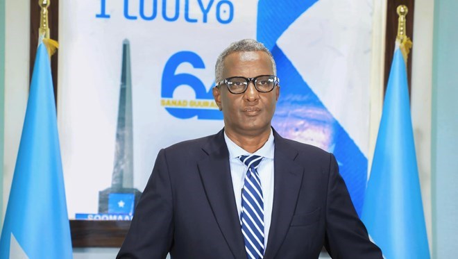 Wadajir Party leader urges military support for clan fighters battling Al-Shabaab in Hiiraan region