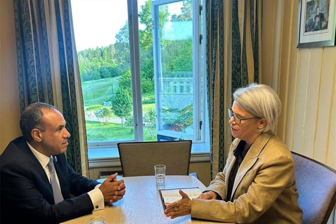 Egypt FM, EU representative discuss restoring stability in Horn of Africa, Red Sea