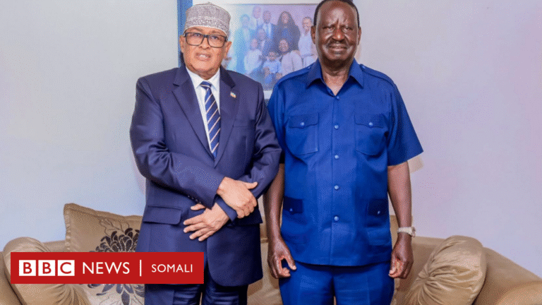 Faahfaahinta waxa ay ka wada hadleen Cirro iyo Raila