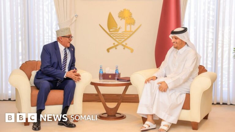 Maxay ka wada hadleen Madaxweynaha Somaliland iyo  Ra'iisul Wasaaraha Qatar