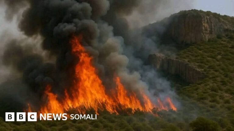 Maxaad kala socotaa dabkii Daalo ka kacay, sideese xaalku yahay