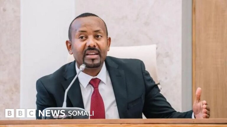 Ra'iisul wasaaraha Itoobiya oo mar kale ka hadlay rabitaanka iyo baahida dalkiisu u qabo inuu bad helo