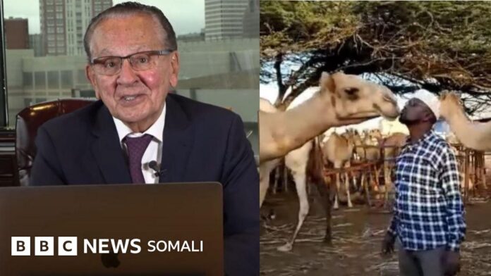 'Garsoorihiii ugu fiicnaa dunida' iyo xiriirkii kala dhaxeeyay Soomaalida