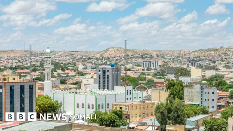 Somaliland: Dowladdu tallaabo ma ka qaadi kartaa shirkadaha kordhiyay qiimaha adeegga internetka?