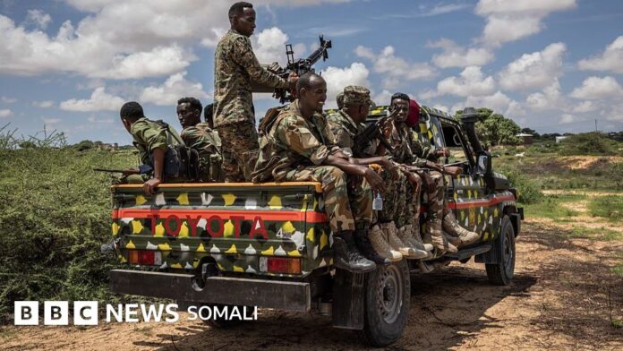 Tusmada nabadda adduunka iyo Soomaaliya oo gashay kaalimaha ugu liita