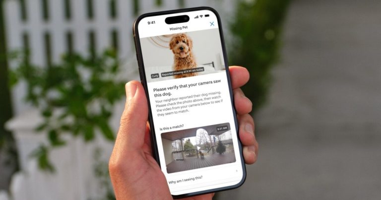 New Ring cameras get AI superpowers to help spot your lost dog